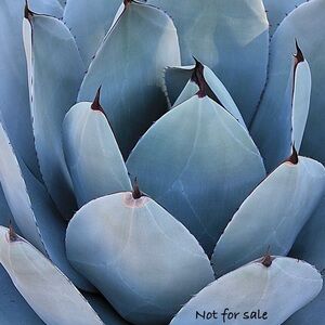 NFS: MAC “Future Beige” Lipstick